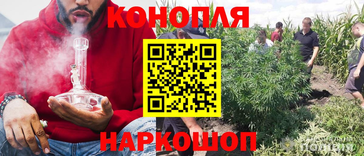 Каннабис план  Конопля SATIVA & INDICA  Вход с VPN  Горячий Ключ  Канабис сатива 